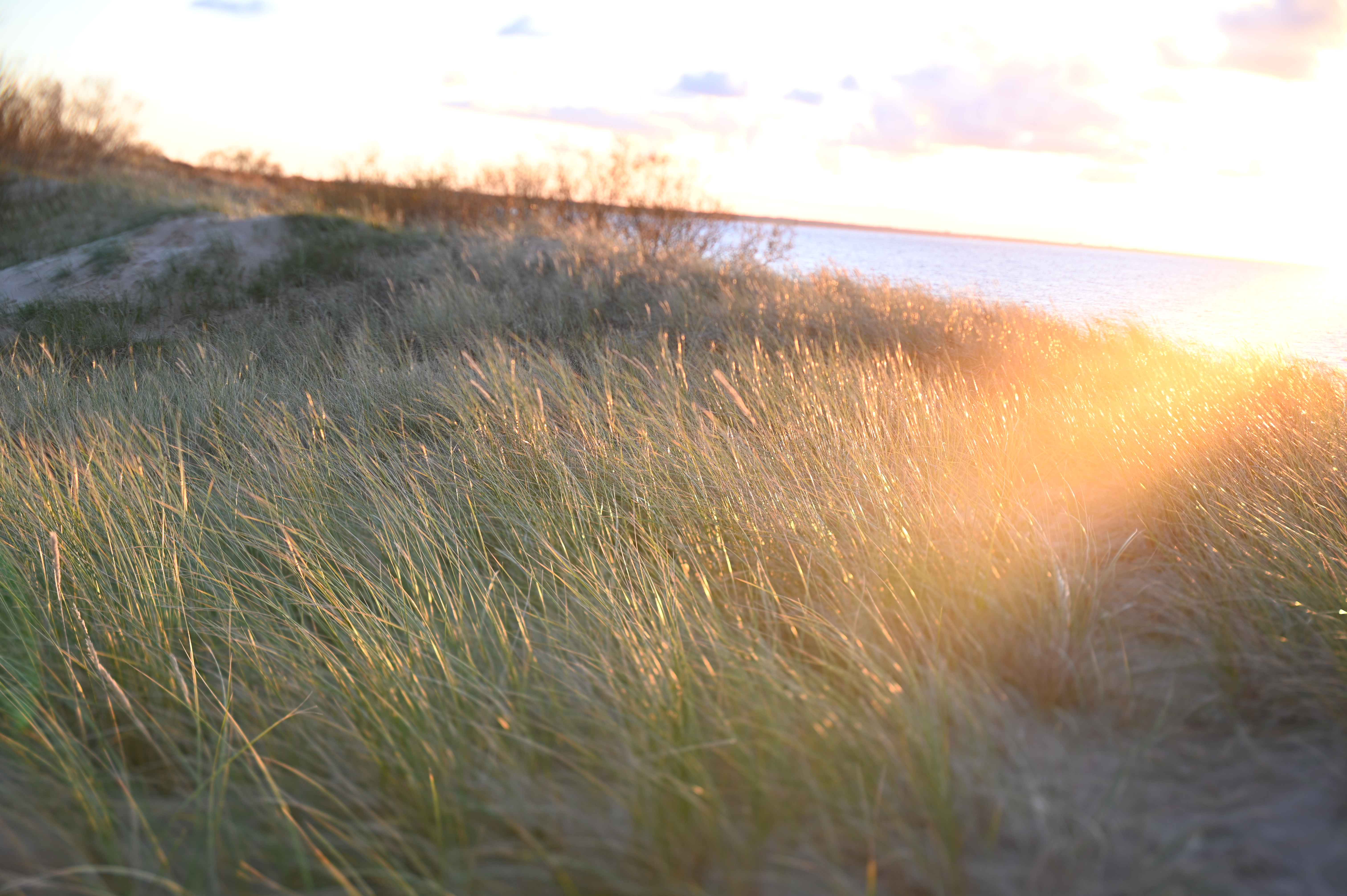 2025/10/18 - walk/DSC_0384.JPG